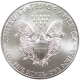 Boite 500 pièces Silver Eagle