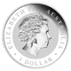 Koala 1 OZ